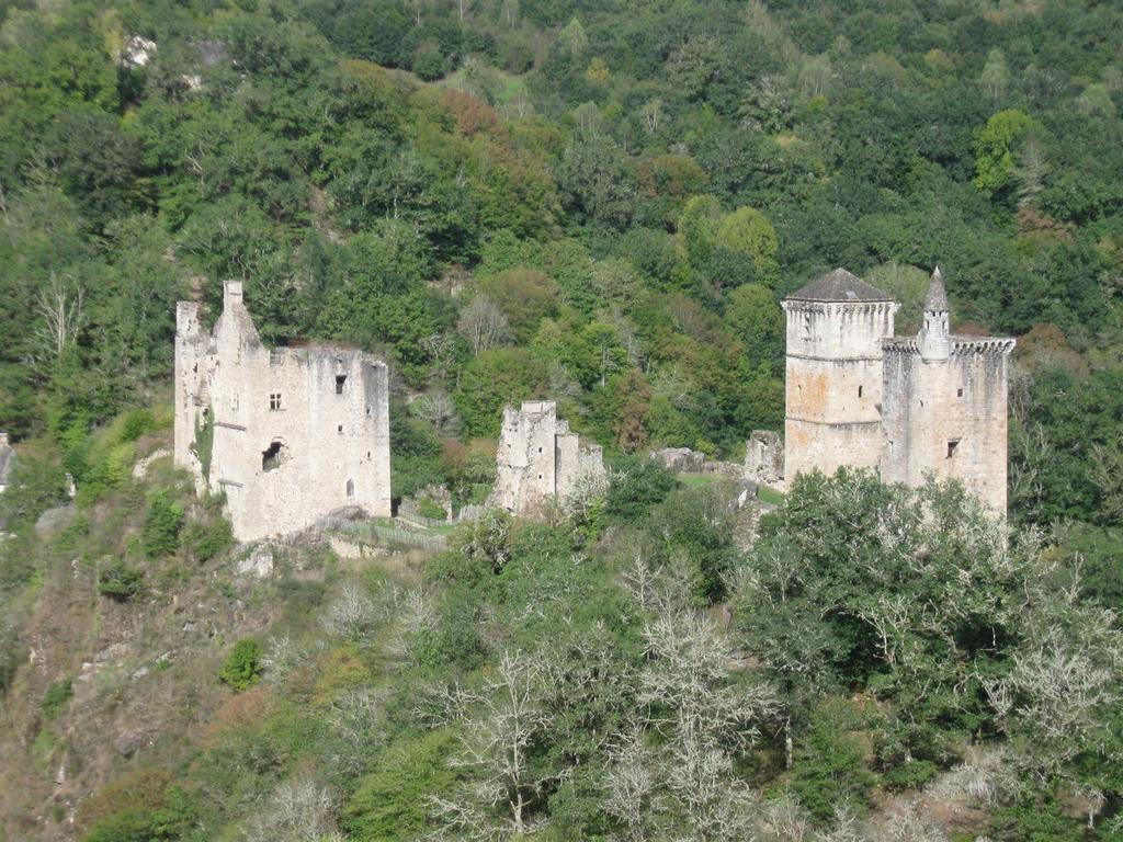 Chambres D'Hotes De Charme Le Pradel Monceaux-sur-Dordogne Exterior photo